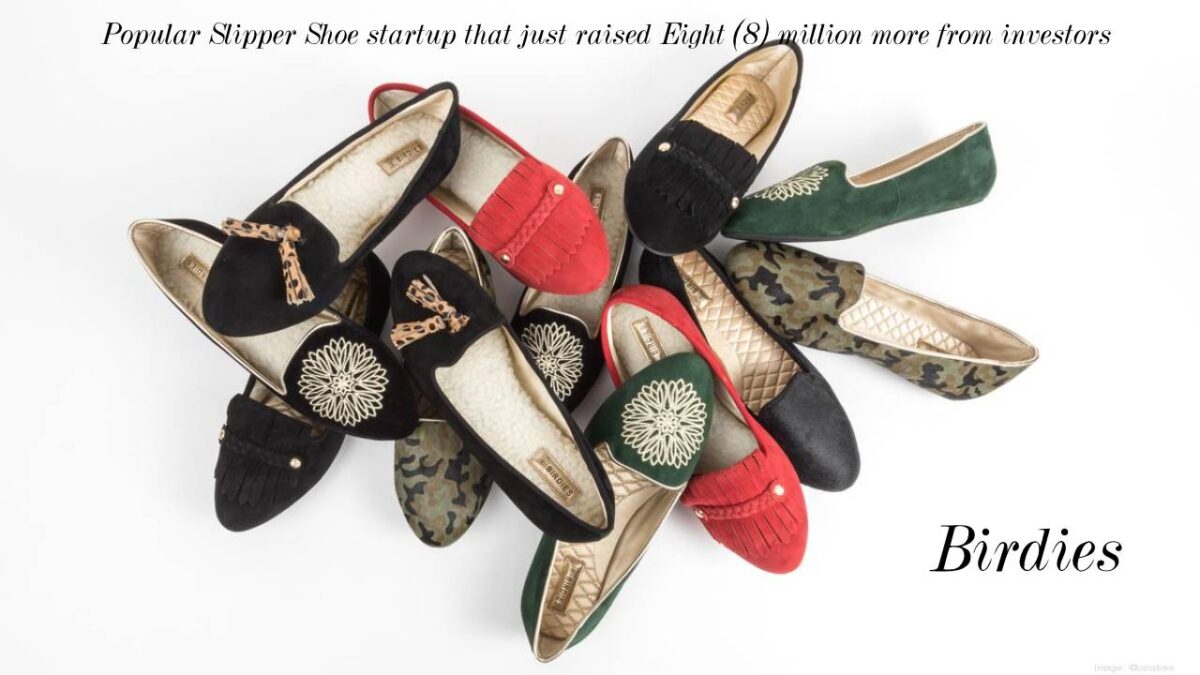 Birdies – Popular Slipper Shoe startup – 2023