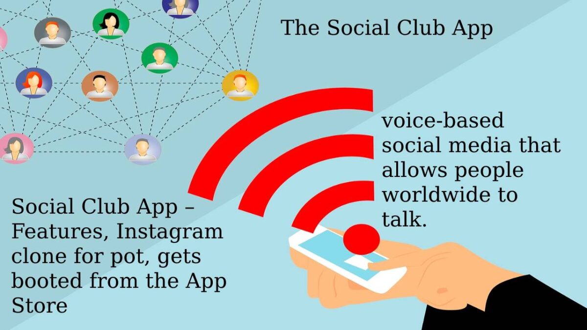 Social Club App: Features, Instagram Clone for Pot [2023]