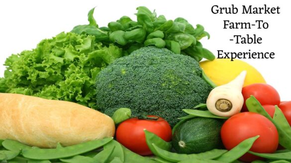Grub Market