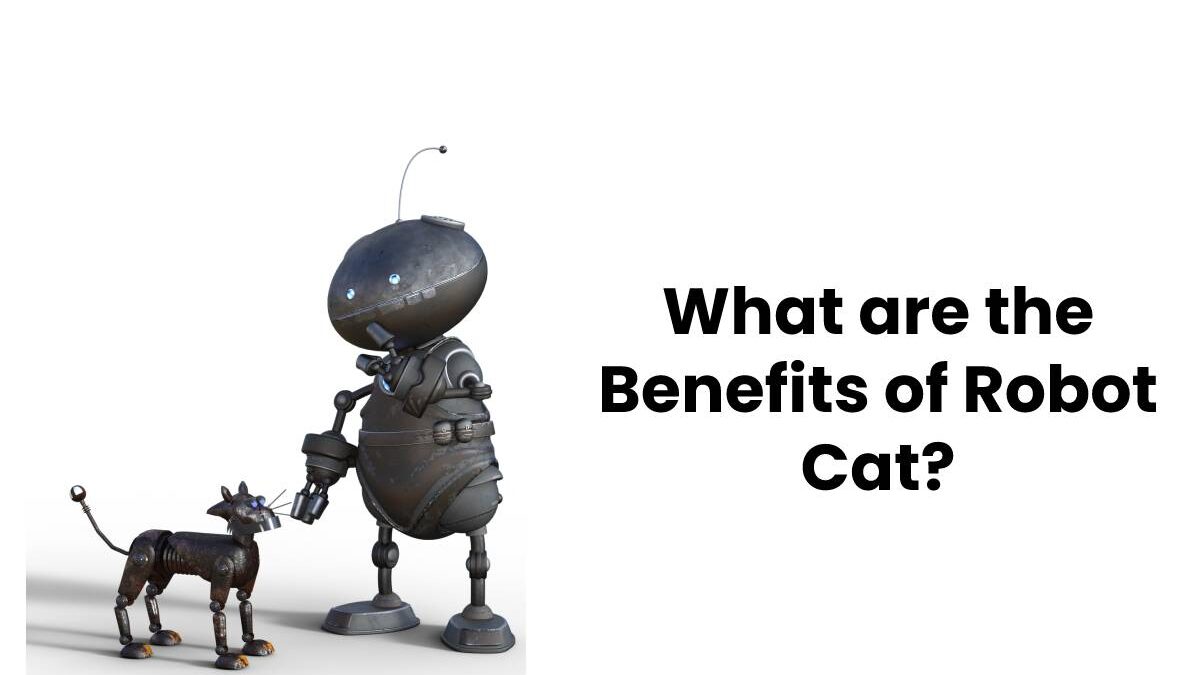 What are the Benefits of Robot Cat?