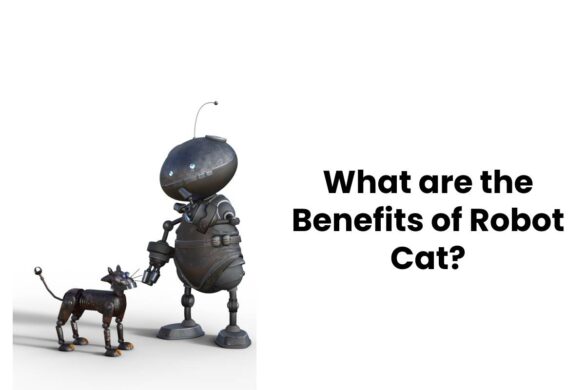 What are the Benefits of Robot Cat?