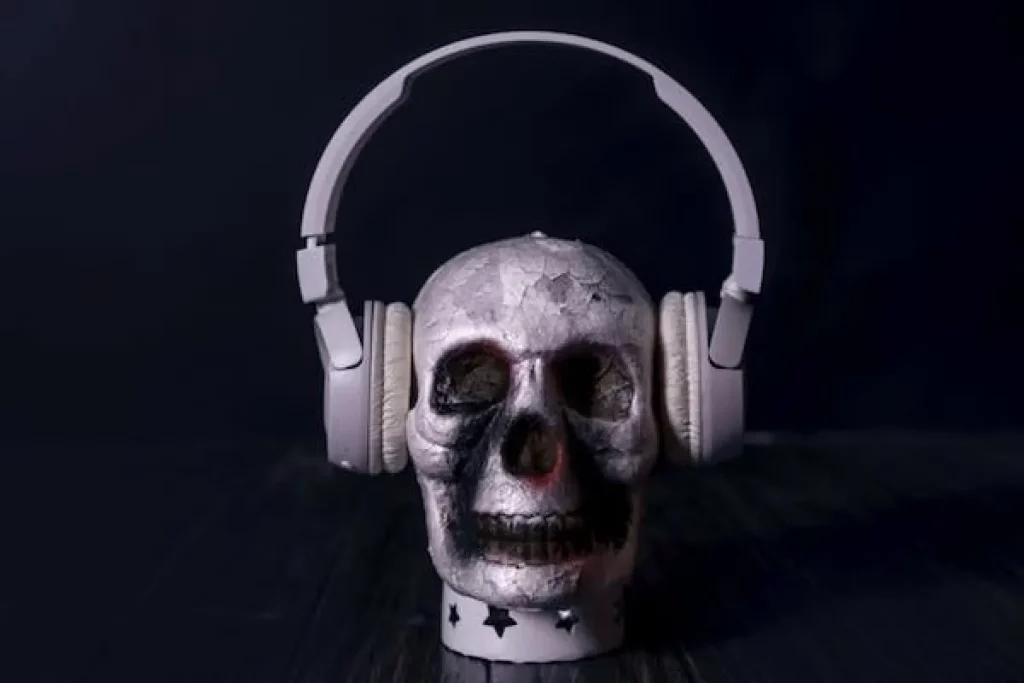 Skull Candy Headphone