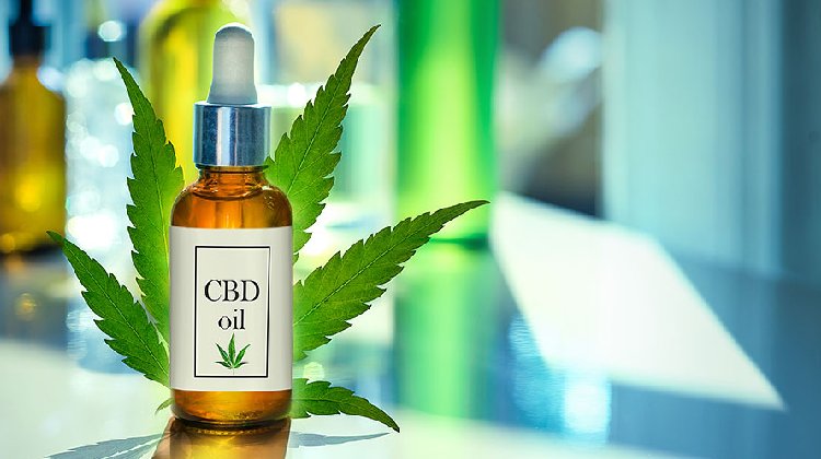 CBD Oil For Dogs 