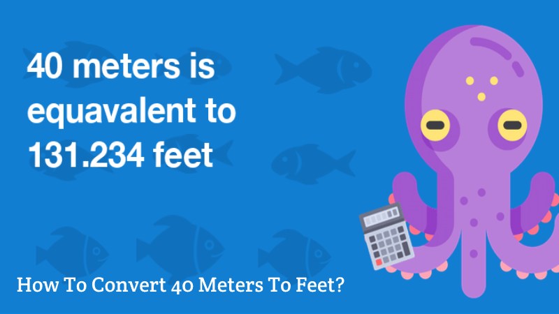 40 Meters To Feet