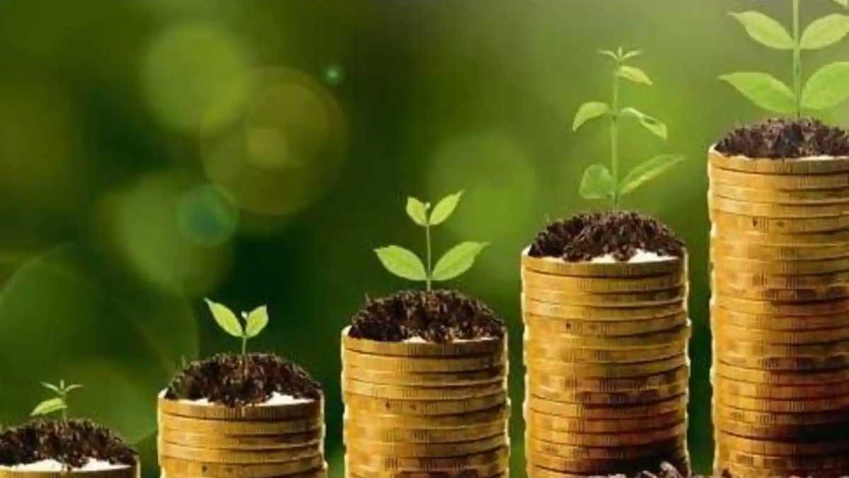 How Sustainable Investors Select Ethical Funds To Invest In
