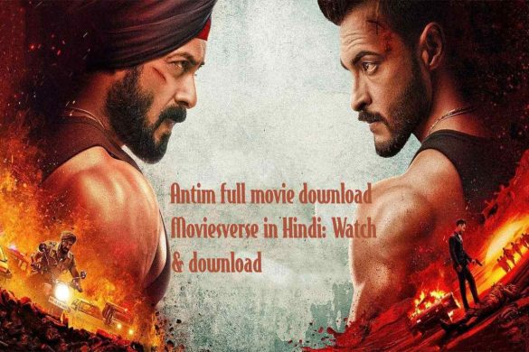 Antim full movie download Moviesverse in Hindi: Watch & download