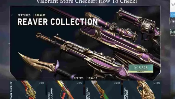 Valorant Store Checker: How To Check?