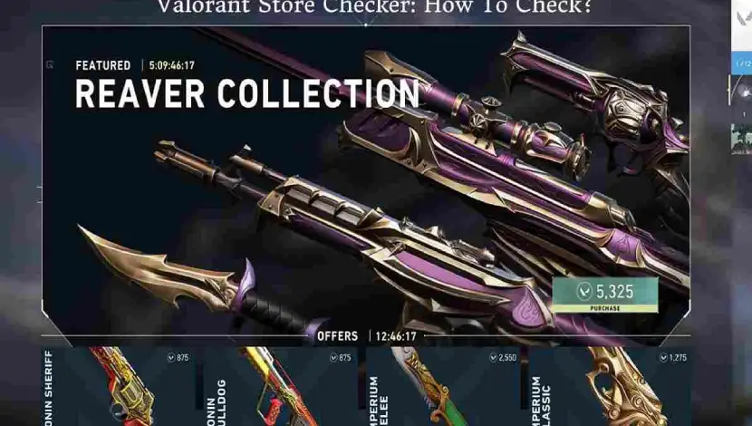 Valorant Store Checker: How To Check?