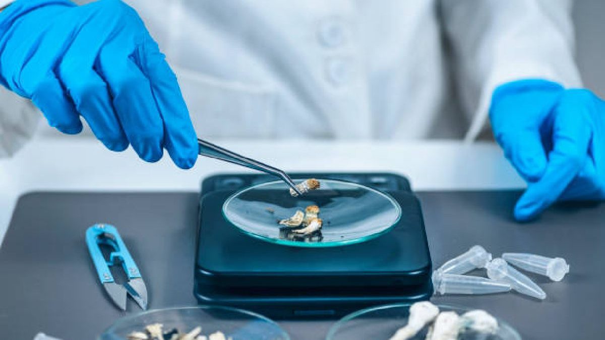 Clearing The Fog: How Long Can Shrooms Be Detected in Drug Tests?